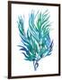 Ocean Feather II-null-Framed Giclee Print