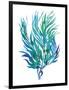 Ocean Feather II-null-Framed Giclee Print