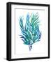 Ocean Feather II-null-Framed Giclee Print