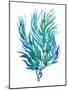 Ocean Feather II-null-Mounted Giclee Print