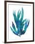 Ocean Feather IV-null-Framed Giclee Print