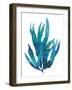 Ocean Feather IV-null-Framed Giclee Print