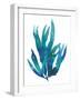 Ocean Feather IV-null-Framed Giclee Print