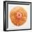 Ocean Finds II-Jairo Rodriguez-Framed Photographic Print