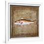 Ocean Fish IX-Beth Anne Creative-Framed Art Print