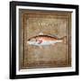 Ocean Fish IX-Beth Anne Creative-Framed Art Print