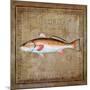 Ocean Fish IX-Beth Anne Creative-Mounted Art Print