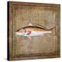 Ocean Fish IX-Beth Anne Creative-Stretched Canvas
