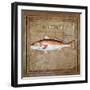 Ocean Fish IX-Beth Anne Creative-Framed Art Print