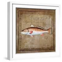 Ocean Fish IX-Beth Anne Creative-Framed Art Print