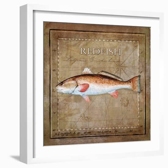 Ocean Fish IX-Beth Anne Creative-Framed Art Print