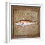 Ocean Fish IX-Beth Anne Creative-Framed Art Print