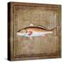 Ocean Fish IX-Beth Anne Creative-Stretched Canvas