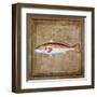 Ocean Fish IX-Beth Anne Creative-Framed Art Print