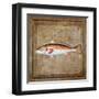 Ocean Fish IX-Beth Anne Creative-Framed Art Print