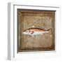 Ocean Fish IX-Beth Anne Creative-Framed Art Print