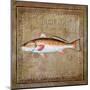 Ocean Fish IX-Beth Anne Creative-Mounted Art Print