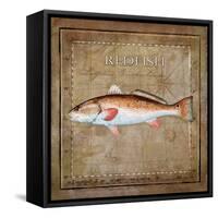 Ocean Fish IX-Beth Anne Creative-Framed Stretched Canvas