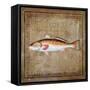 Ocean Fish IX-Beth Anne Creative-Framed Stretched Canvas