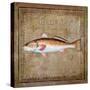 Ocean Fish IX-Beth Anne Creative-Stretched Canvas