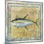 Ocean Fish XII-Beth Anne Creative-Mounted Art Print