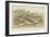 Ocean Fish-null-Framed Giclee Print