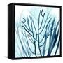 Ocean Floor Life 4-Albert Koetsier-Framed Stretched Canvas