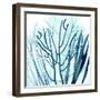 Ocean Floor Life 4-Albert Koetsier-Framed Art Print