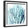 Ocean Floor Life 4-Albert Koetsier-Framed Art Print