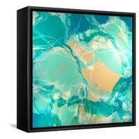 Ocean Floor-Barbara Bilotta-Framed Stretched Canvas