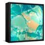 Ocean Floor-Barbara Bilotta-Framed Stretched Canvas