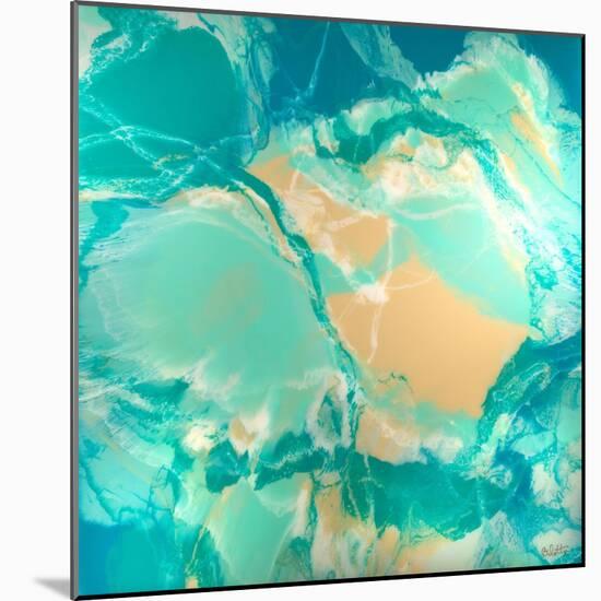 Ocean Floor-Barbara Bilotta-Mounted Art Print