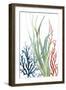 Ocean Garden II-Carol Robinson-Framed Art Print