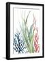 Ocean Garden II-Carol Robinson-Framed Art Print