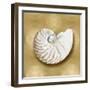 Ocean Gem on Gold III-Caroline Kelly-Framed Art Print