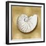 Ocean Gem on Gold III-Caroline Kelly-Framed Art Print