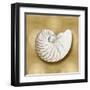 Ocean Gem on Gold III-Caroline Kelly-Framed Art Print