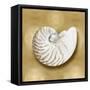 Ocean Gem on Gold III-Caroline Kelly-Framed Stretched Canvas