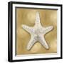 Ocean Gem on Gold VI-Caroline Kelly-Framed Art Print