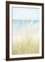 Ocean Grasses-Mike Toy-Framed Giclee Print