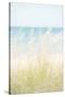 Ocean Grasses-Mike Toy-Stretched Canvas
