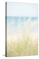 Ocean Grasses-Mike Toy-Stretched Canvas