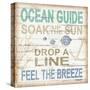 Ocean Guide Sq-Todd Williams-Stretched Canvas
