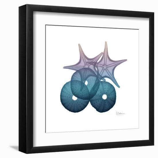 Ocean Hues Sea Urchin and Starfish-Albert Koetsier-Framed Art Print