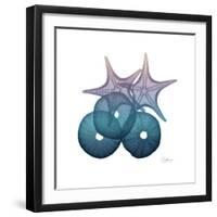 Ocean Hues Sea Urchin and Starfish-Albert Koetsier-Framed Art Print