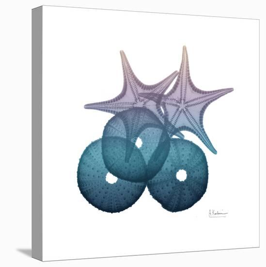 Ocean Hues Sea Urchin and Starfish-Albert Koetsier-Stretched Canvas