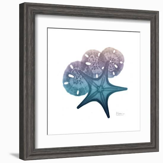 Ocean Hues Starfish and Sand Dollar-Albert Koetsier-Framed Art Print