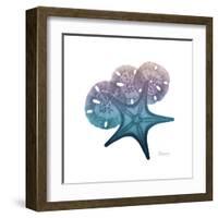 Ocean Hues Starfish and Sand Dollar-Albert Koetsier-Framed Art Print