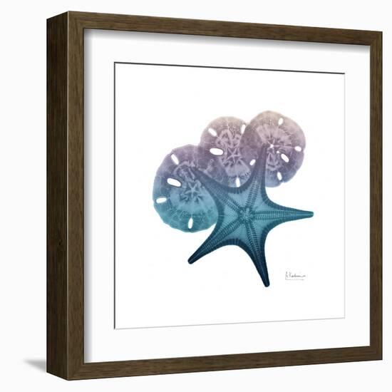 Ocean Hues Starfish and Sand Dollar-Albert Koetsier-Framed Art Print