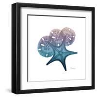 Ocean Hues Starfish and Sand Dollar-Albert Koetsier-Framed Art Print